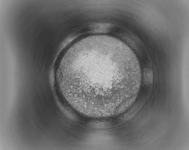 X0000111650726200908281048