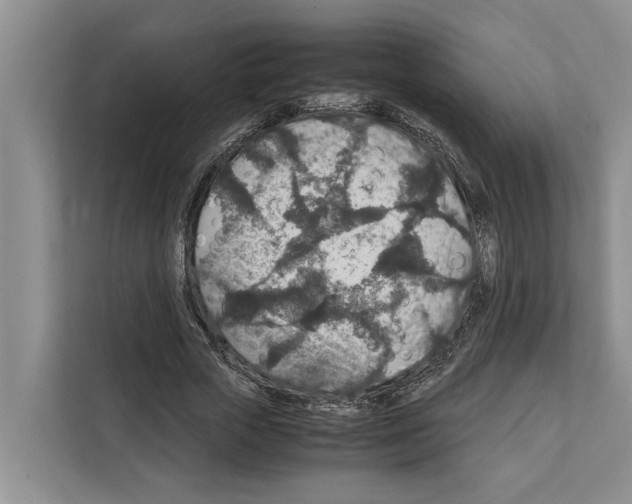 X0000111650729200908281048