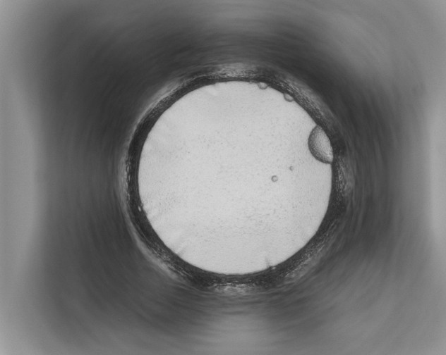 X0000111650730200908281049