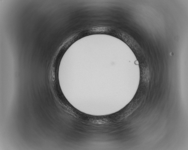 X0000111650731200908281049