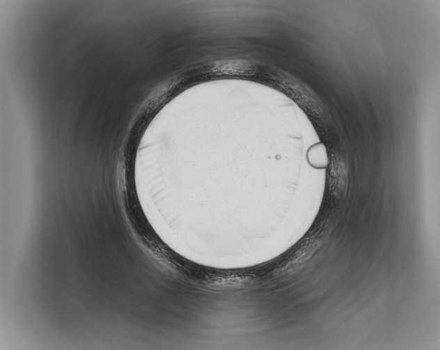 X0000111650734200908281049