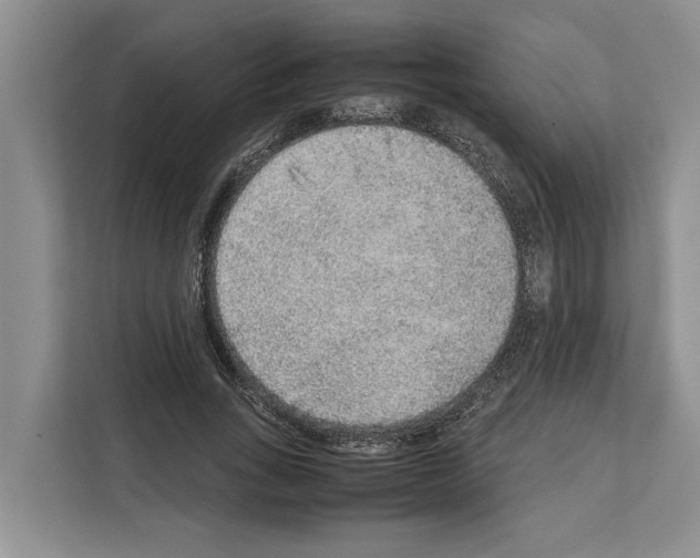 X0000111650735200908281049