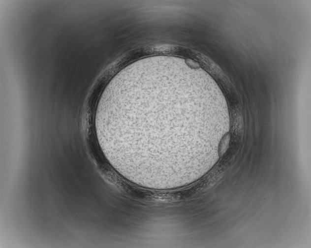 X0000111650736200908281049