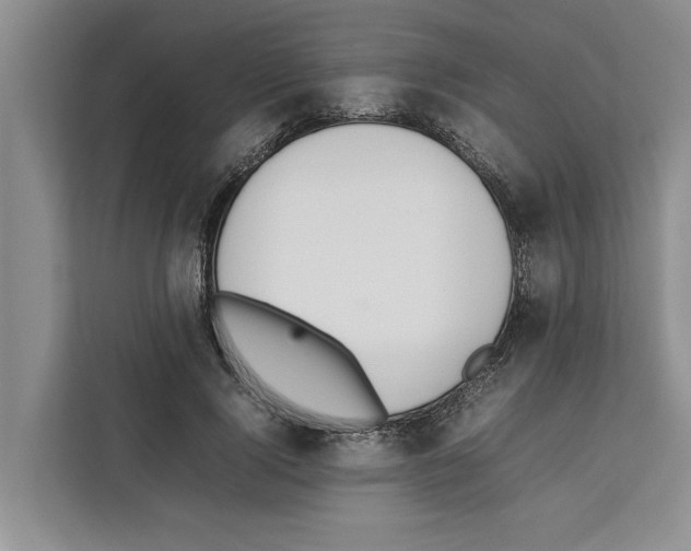 X0000111650740200908281049