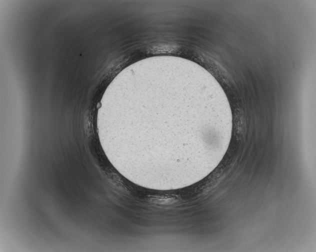 X0000111650743200908281049