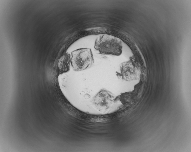 X0000111650745200908281049