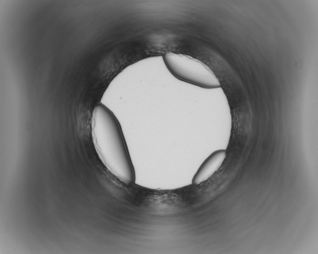 X0000111650752200908281049