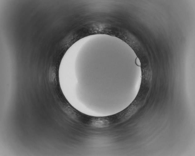 X0000111650754200908281049