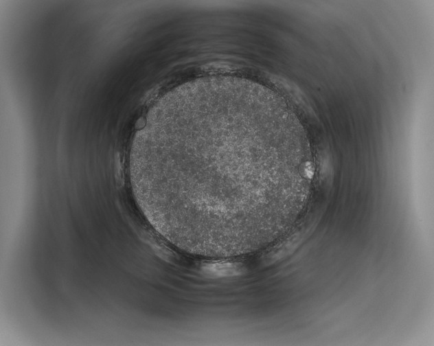 X0000111650759200908281049