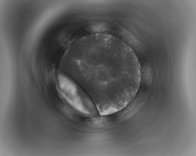 X0000111650762200908281049