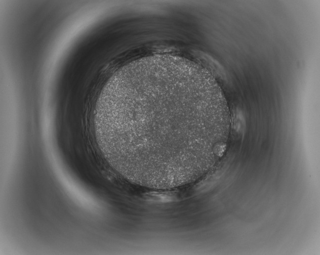X0000111650763200908281049