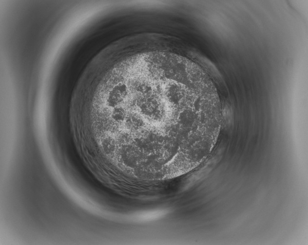 X0000111650765200908281049