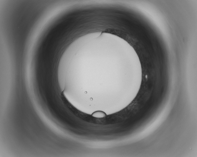 X0000111650766200908281049