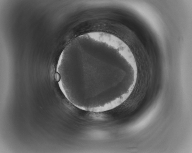 X0000111650767200908281049