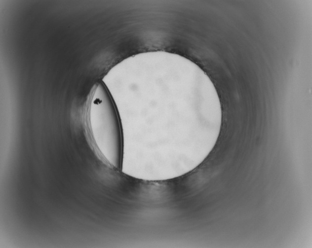 X0000111650768200908281049
