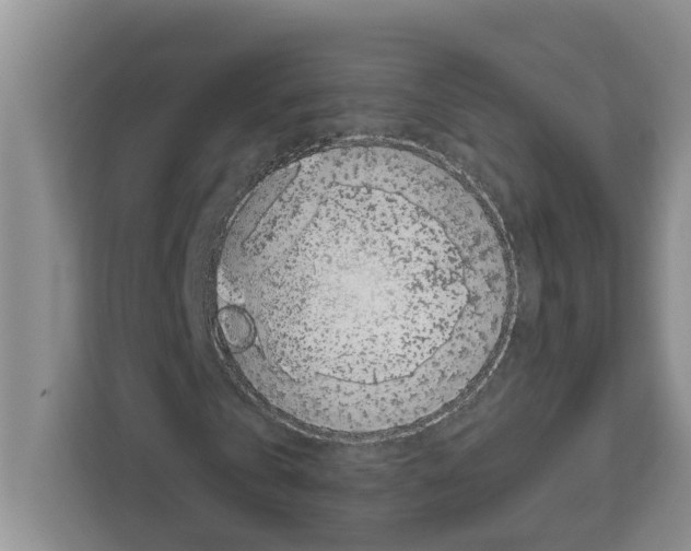 X0000111650769200908281048
