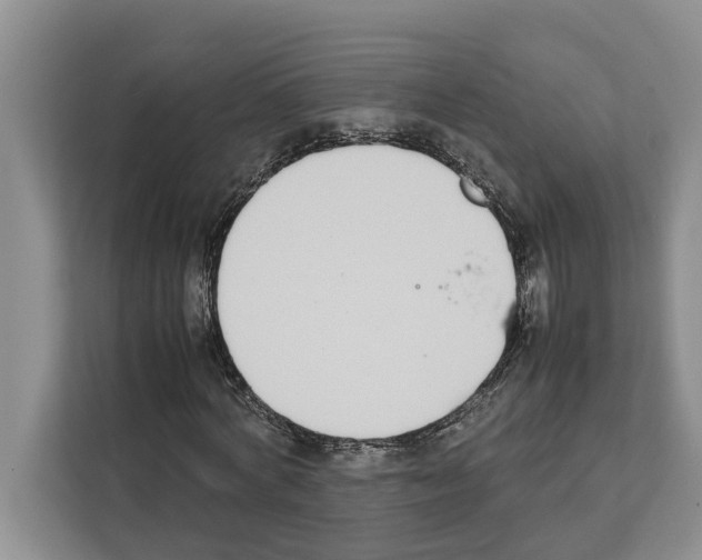 X0000111650772200908281048