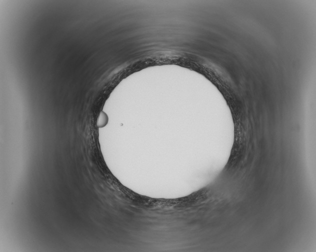 X0000111650773200908281048