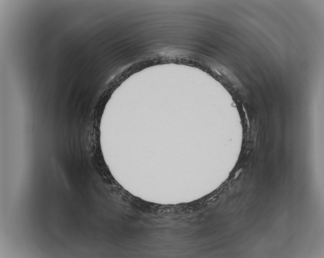 X0000111650776200908281048