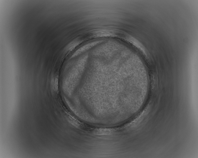 X0000111650777200908281048