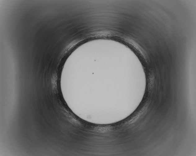 X0000111650778200908281048
