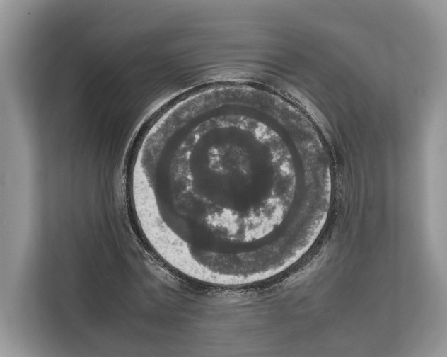 X0000111650779200908281048
