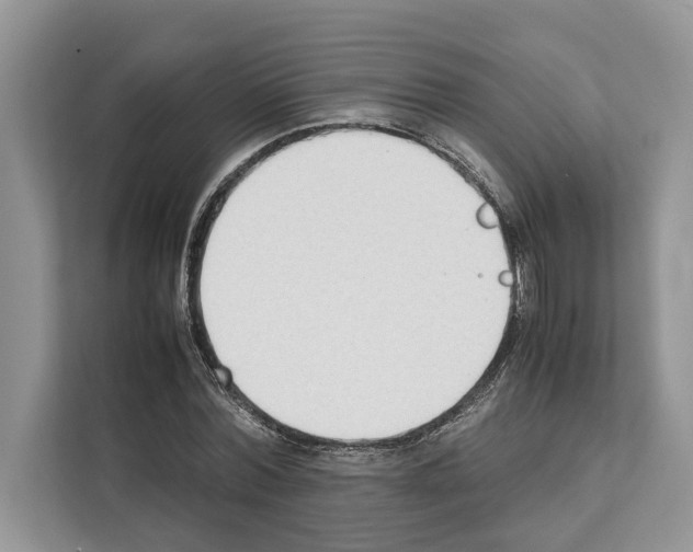 X0000111650780200908281048