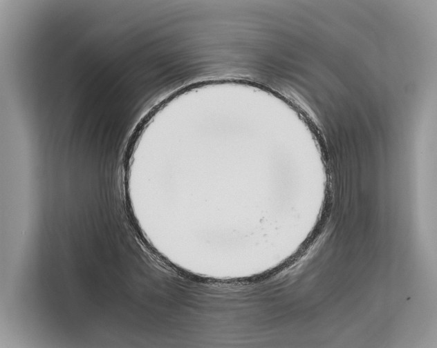 X0000111650781200908281048