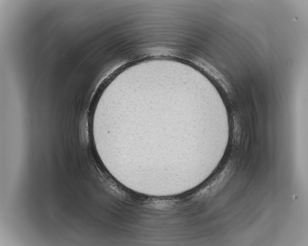 X0000111650782200908281048