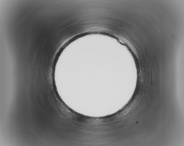 X0000111650783200908281048