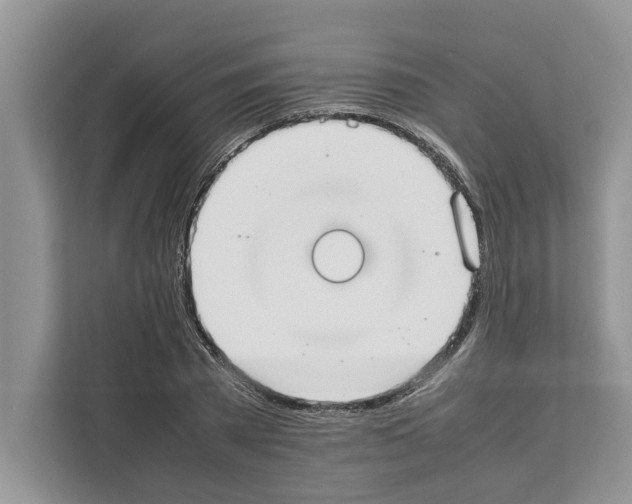 X0000111650785200908281048