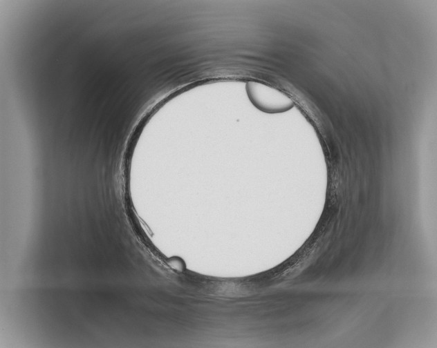 X0000111650787200908281048