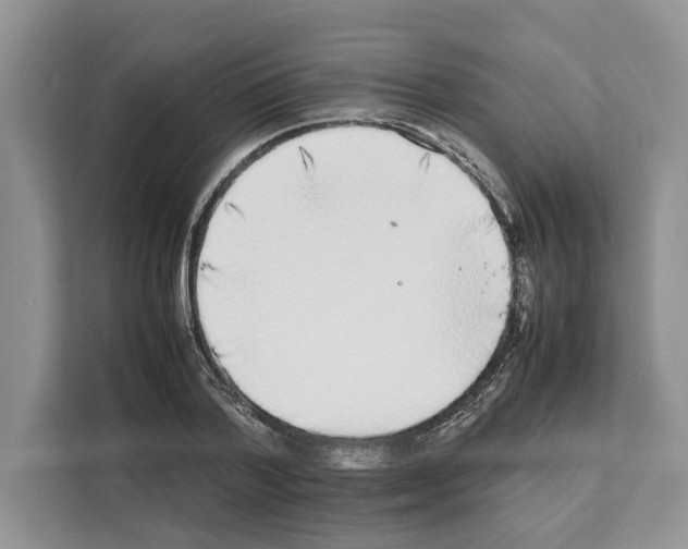 X0000111650788200908281048