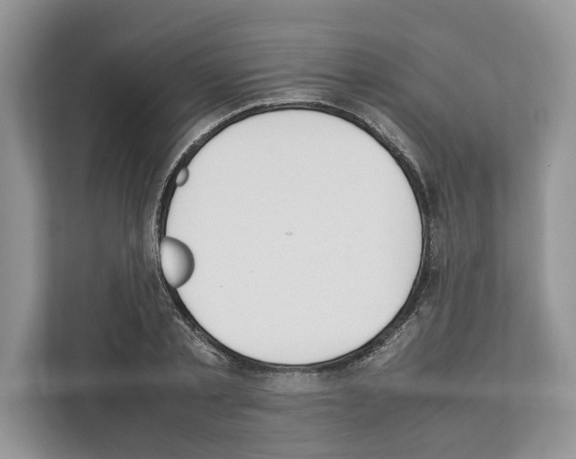 X0000111650789200908281048