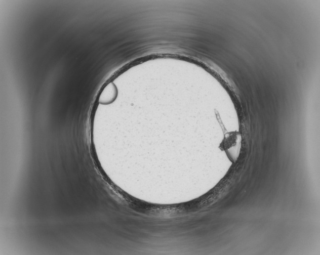 X0000111650791200908281048