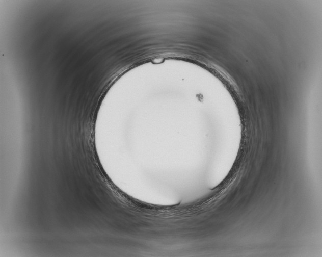X0000111650793200908281048
