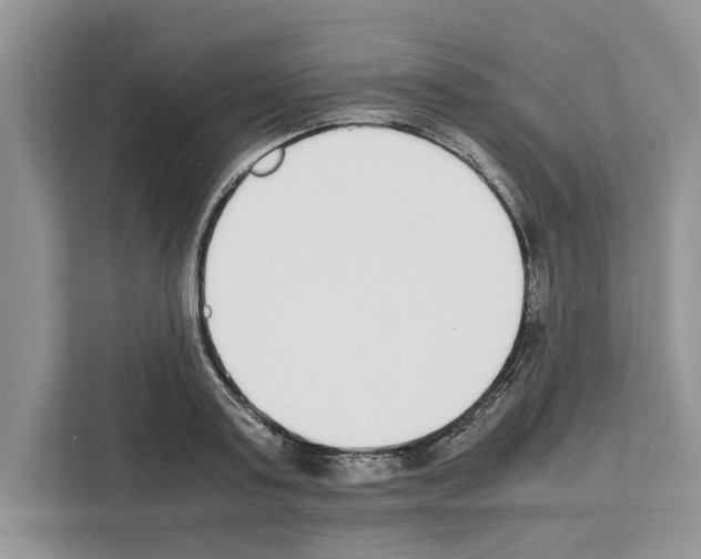 X0000111650795200908281048