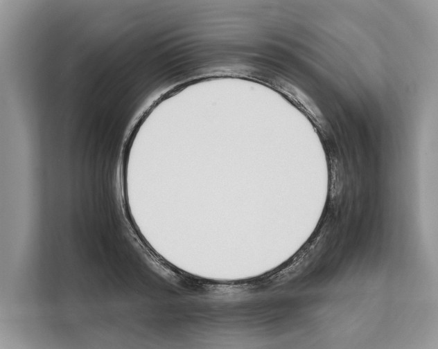 X0000111650796200908281048