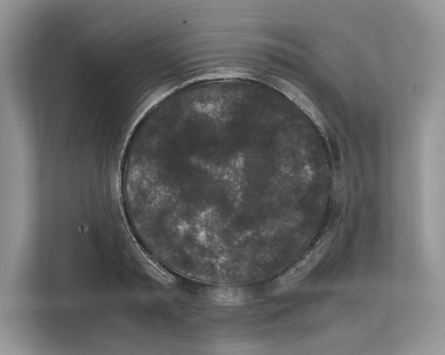 X0000111650797200908281048