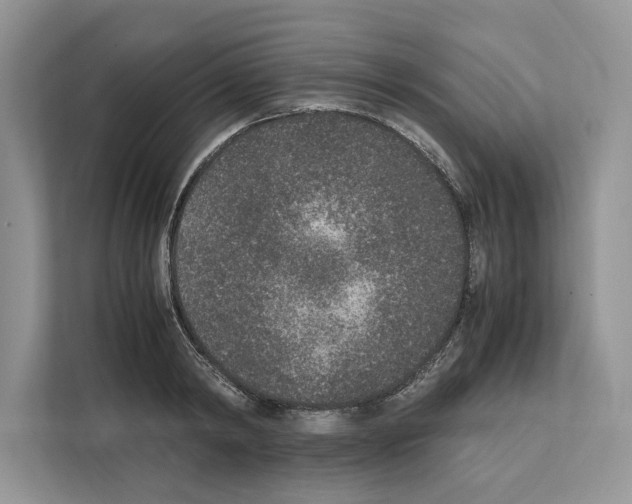 X0000111650798200908281048