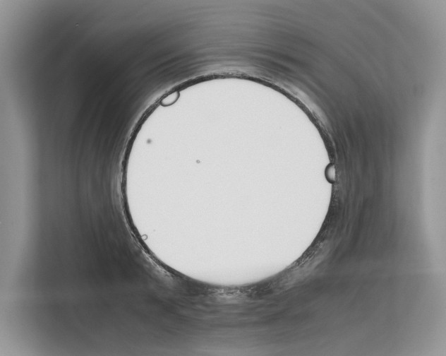 X0000111650799200908281048