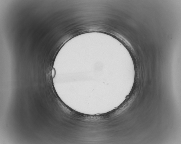 X0000111650801200908281048