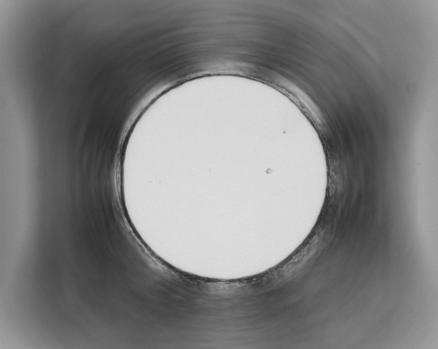 X0000111650804200908281048