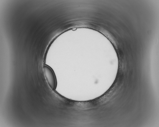 X0000111650805200908281048