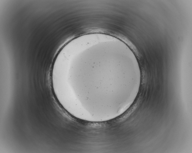 X0000111650806200908281048