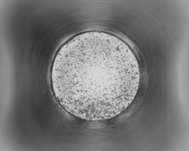 X0000111650807200908281048