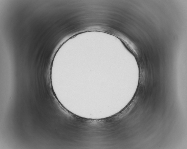 X0000111650808200908281048