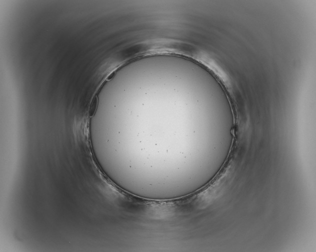 X0000111650809200908281048