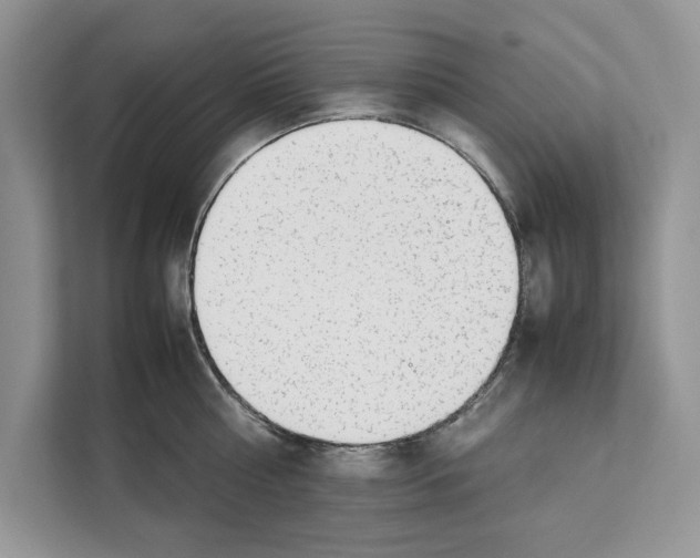 X0000111650810200908281048