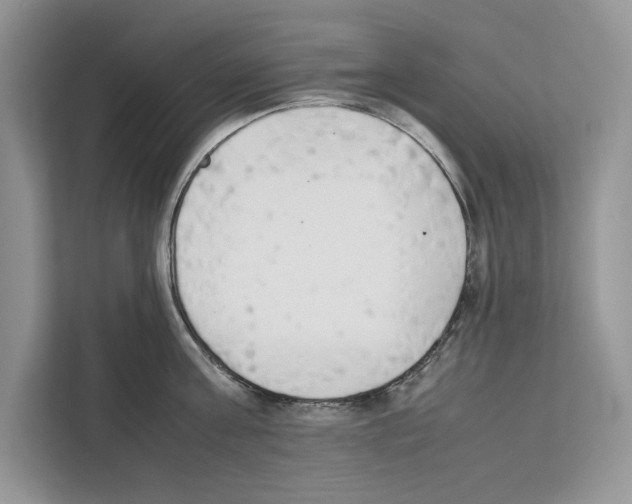 X0000111650811200908281048